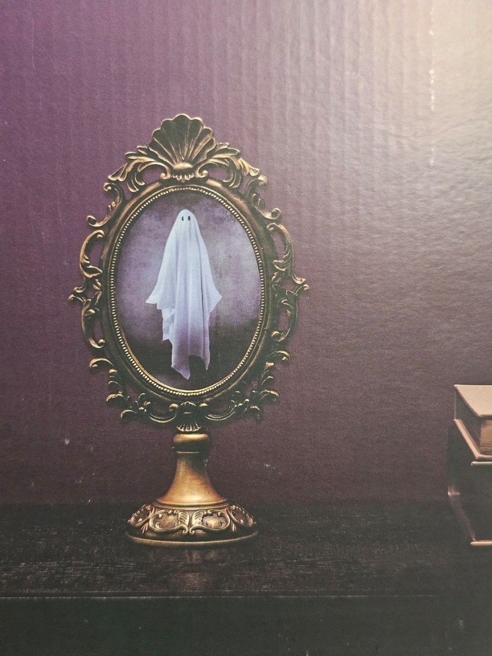 Ghost mirror LED Lighted Halloween Christian siriano viral
